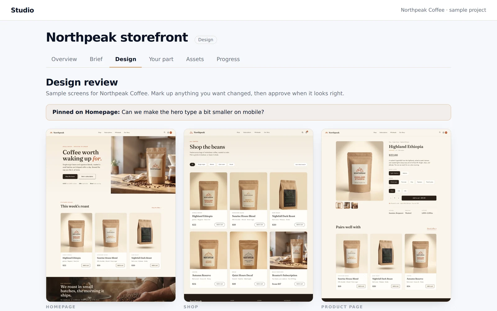 Studio client portal: design review for a sample project